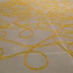 Tony Feher, Untitled, 2011 (detail)