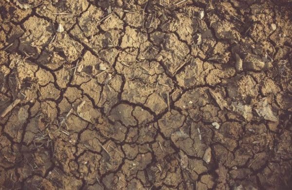 52651159_10157434832157994_8708828748566233088_n