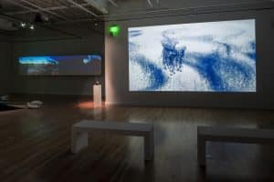 Installation view of the exhibition Nick Vaughan and Jake Margolin - 50 States: Louisiana at DiverseWorks