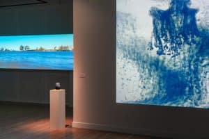 Installation view of the exhibition Nick Vaughan and Jake Margolin - 50 States: Louisiana at DiverseWorks