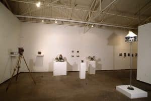 Photo of exhibition space with multiple camera sculptures, and photographs on wall.