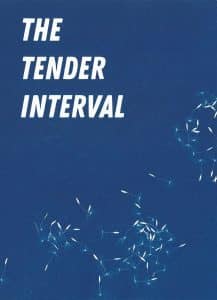 cover image of The Tender Interval meditation guide; cyanotype of dandelion seeds, white objects on blue background