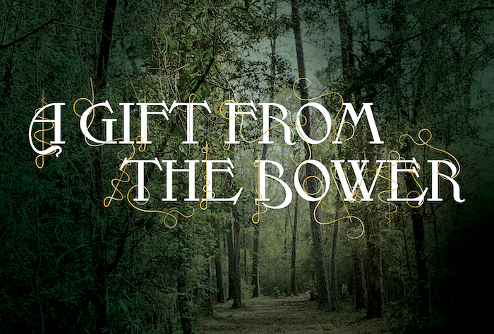 A Gift from the Bower.