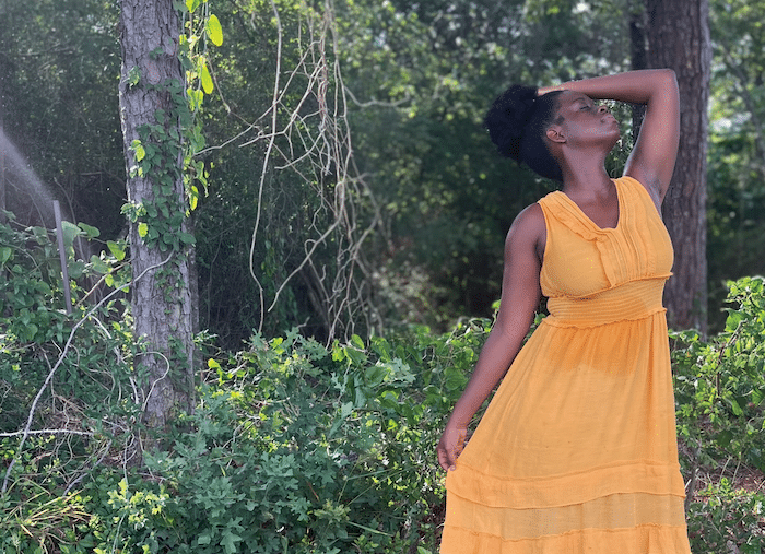 Aesthetic Inheritances.